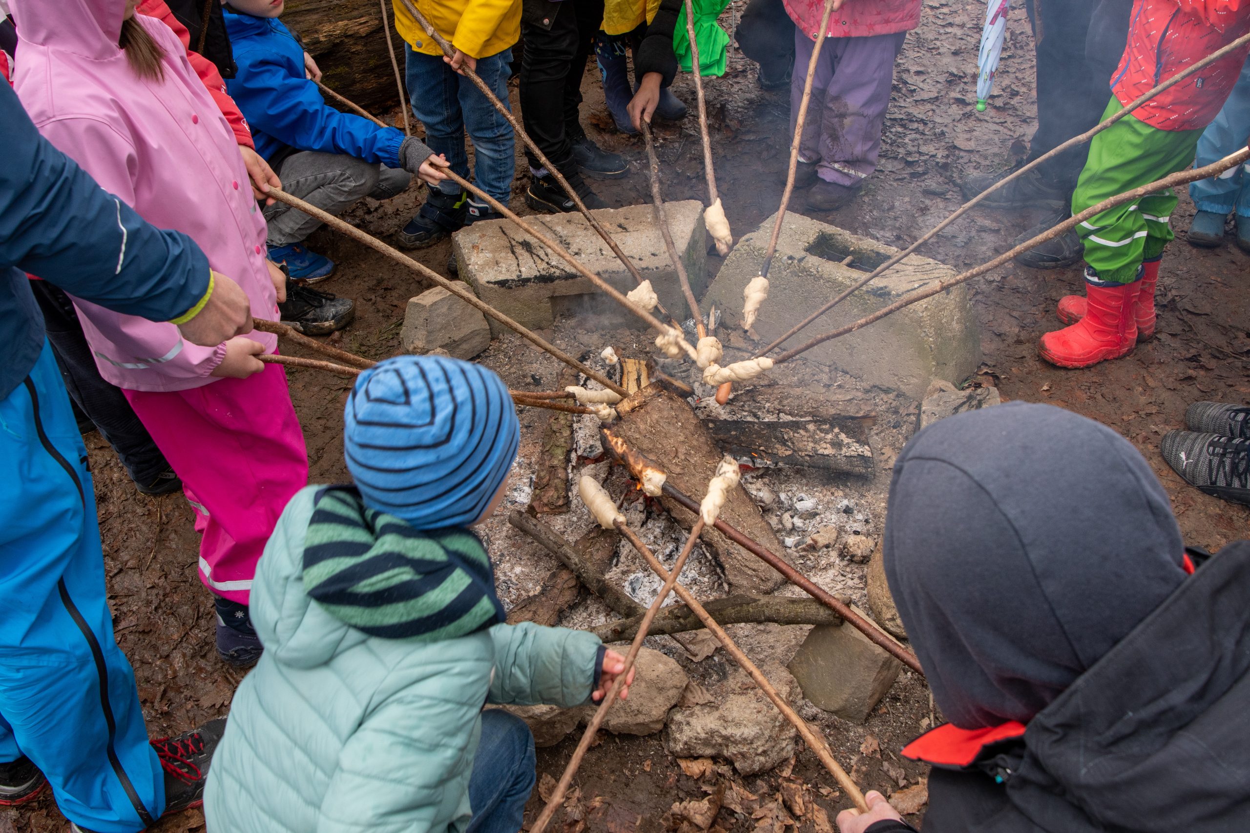 12ème Fête de la forêt 2024 Arbracadabra